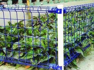 金屬絲網(wǎng)熱賣促銷 探索zt-03型號的價格、廠家與供應(yīng)商